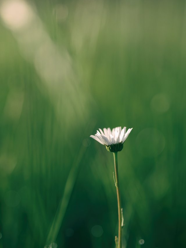 aaron-burden-t8MgrNitecE-unsplash.jpg