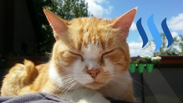 WhatsAppImage2017-05-20at12.21.32.jpg