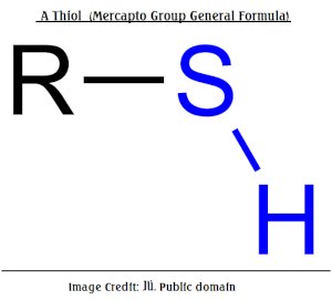 Thiol Group Jü public2.jpg