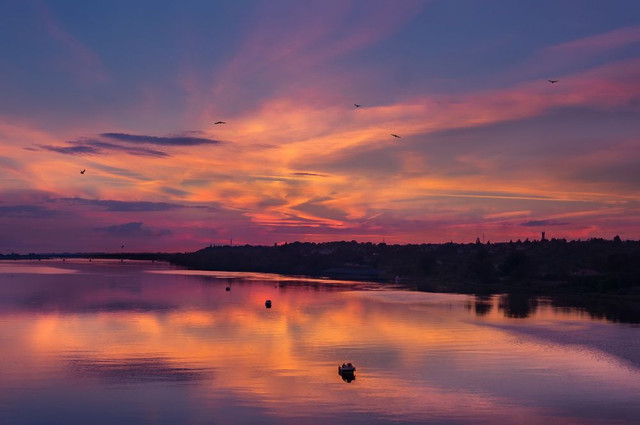 Photo by Dmytro Korol