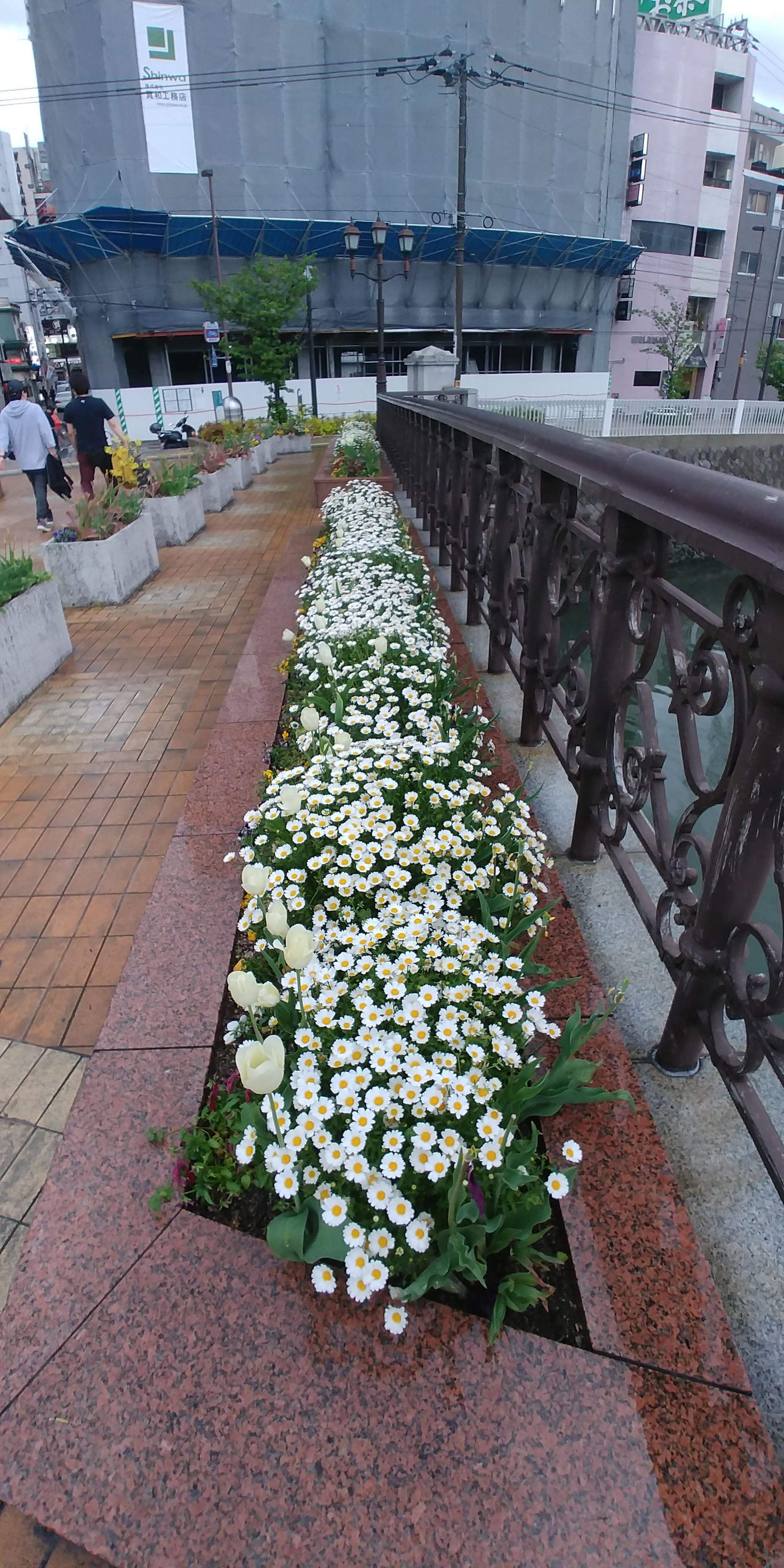 화단20180414_171248.jpg