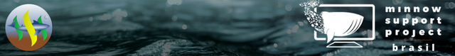 Banner assinatura @msp-brasil