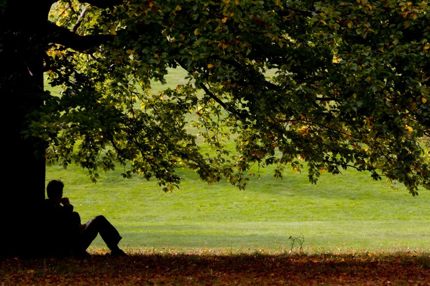 Is under the tree. Under the Tree. Sit under the Tree. Человек на солнце с внизу деревом. Фото с дерева вниз.