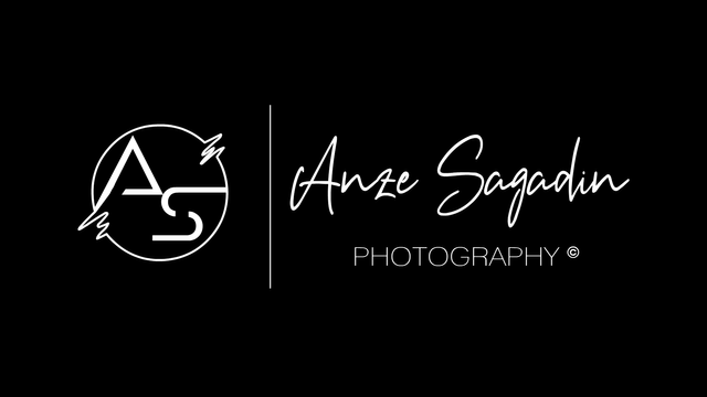 Anže Sagadin steemit logo made by Animationiko Niko Balažic.png