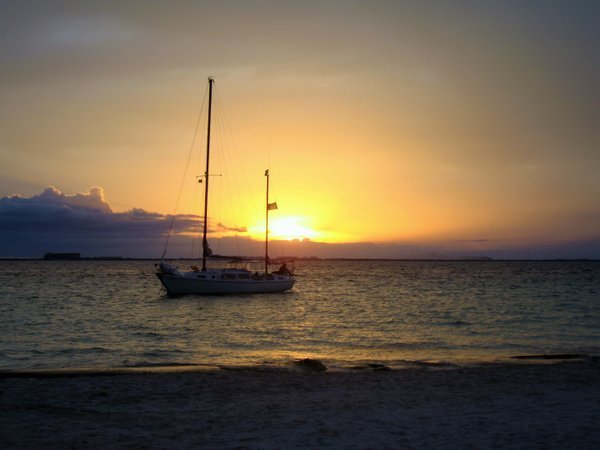 IMG_2769.jpg