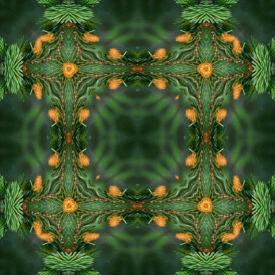 shasta2018sept4th47sprucepuffkaleidoscope3io.gif