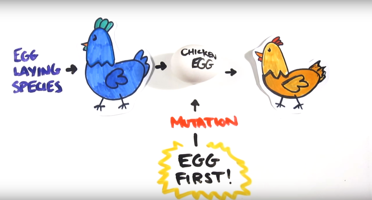 Chick 1. Курица или яйцо. Who came first Chicken or Egg. Which came first the Chicken or the Egg. Egg or Chicken? Манга.