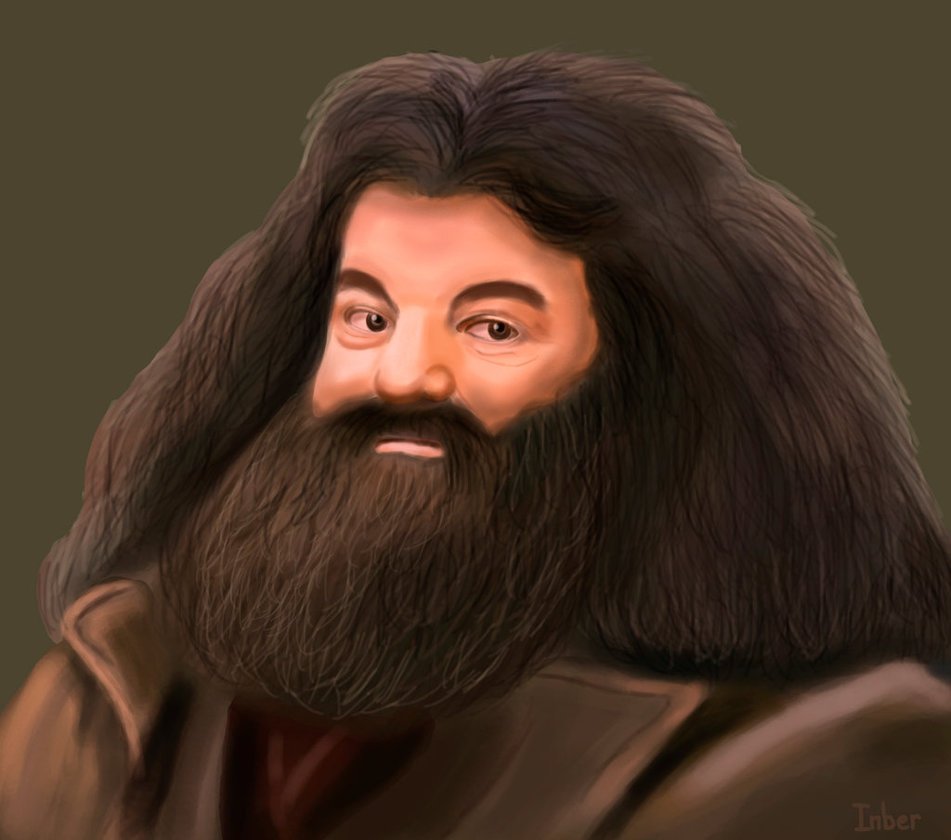 Hagrid harry. Рубеус Хагрид. Хагрид Гарри Поттер. Гарри Поттер Хагрид арт. Хагрид Гарри Поттер рост.