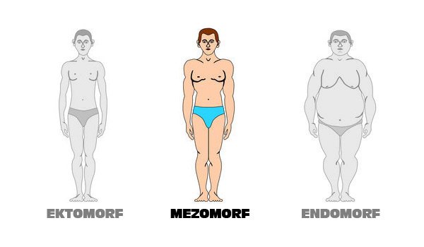Коренастое телосложение это. Генетика эктоморф мезоморф эндоморф. Эктоморф мезоморф и эндоморф Шелдон. Парень эктоморф мезоморф эндоморф. Эктоморф 170.