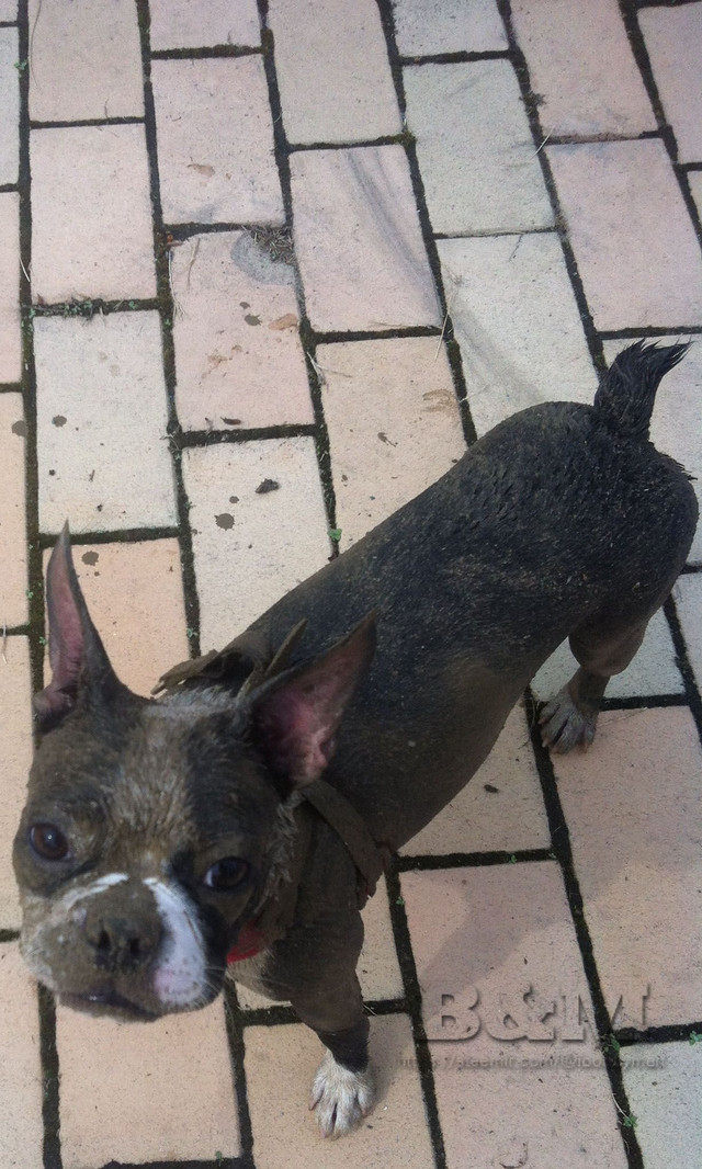 mud.jpg