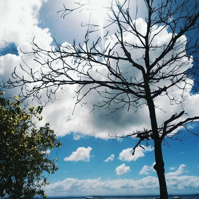 sky.jpg