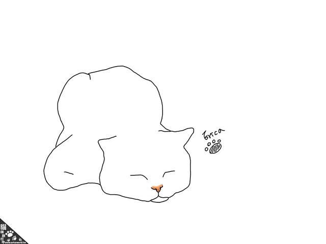 003.jpg