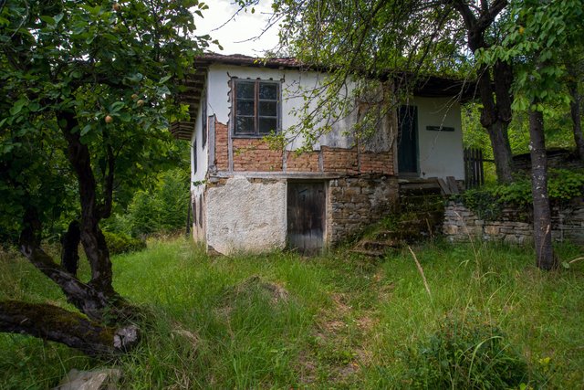 168.jpg