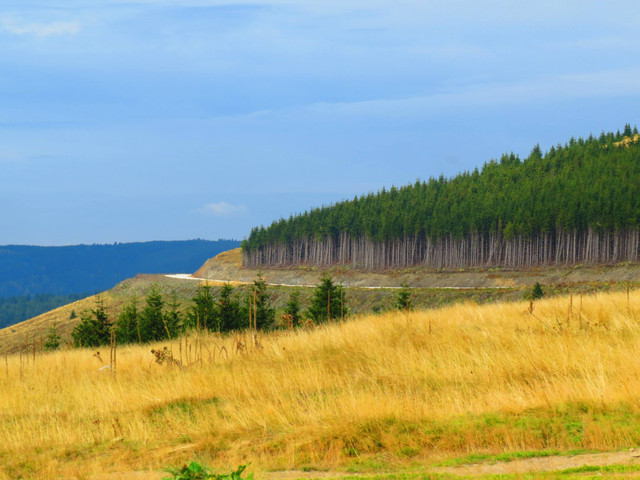 Mountain Golija
