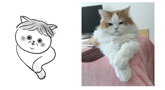 po2.jpg