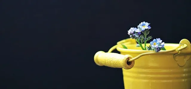 20.webp