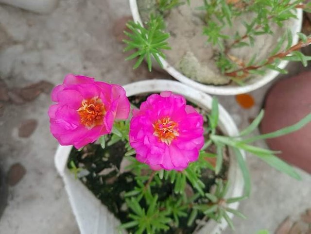 s17.jpg