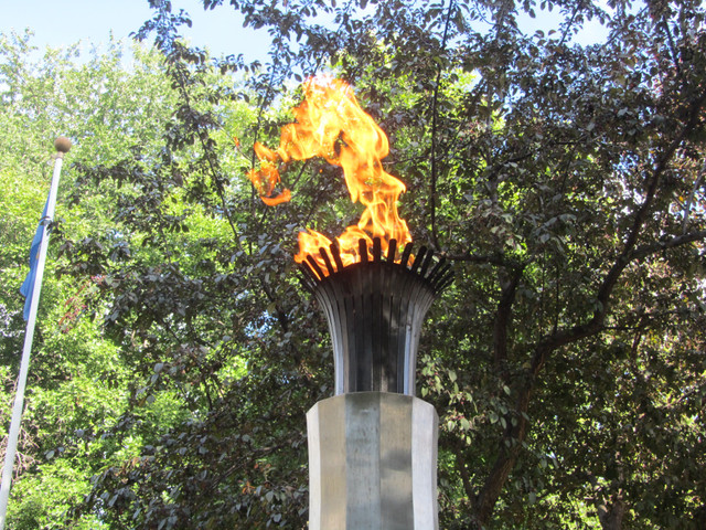 195.JPG