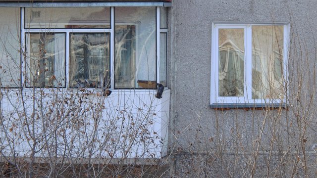 Птичий переполох6_1.JPG