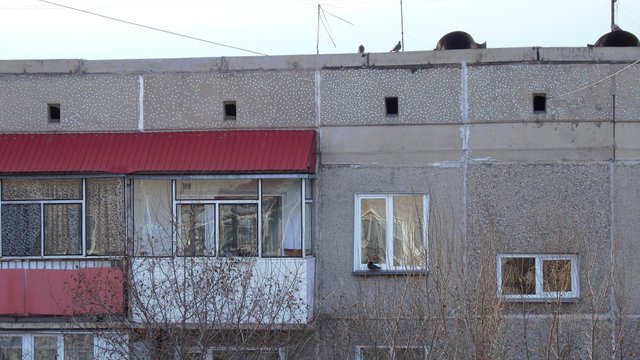Птичий переполох7_1.JPG