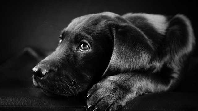 src=http___img9_51tietu_net_pic_2019-091003_w2kttrxxea4w2kttrxxea4_jpg&refer=http___img9_51tietu.jpg