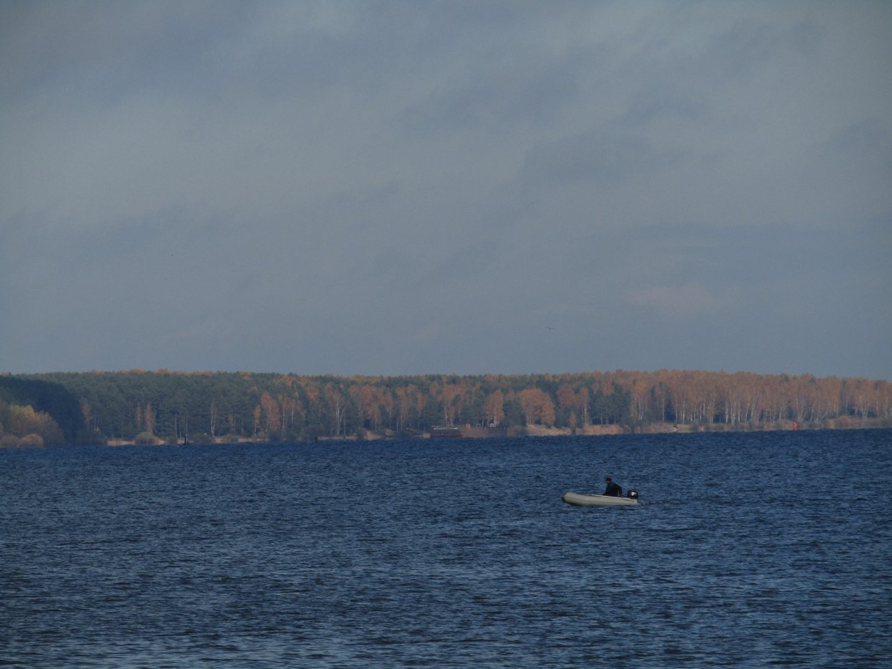 Рыбинские острова водохранилище. Остров Раменье Рыбинское водохранилище. Острова Рыбинского водохранилища. Остров Центральный Рыбинское водохранилище. Рыбинское водохранилище Череповец.