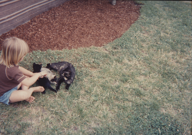 1993 Bear with Her Kittens Front & Back-1.png