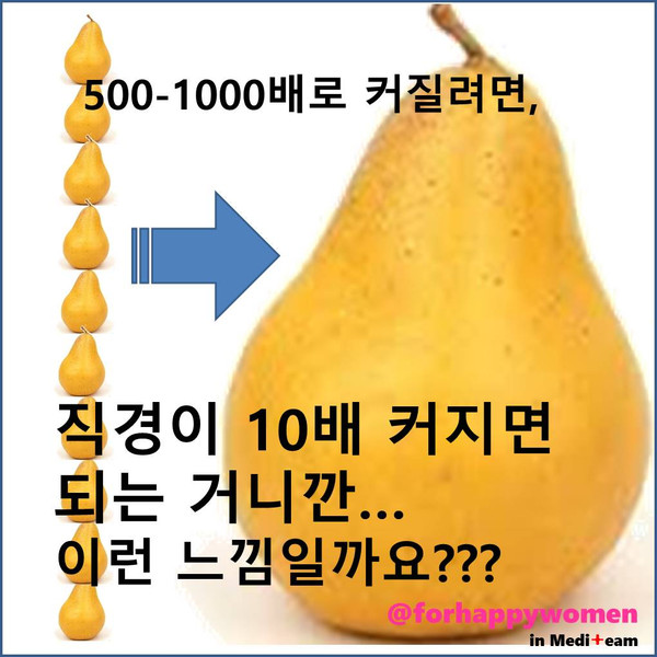 프레젠테이션5.jpg