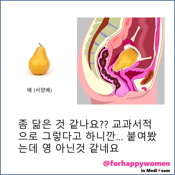 프레젠테이션4.jpg