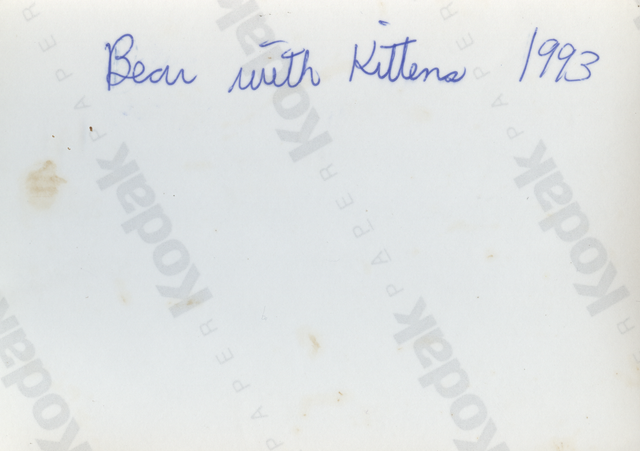 1993 Bear with Her Kittens Front & Back-2.png