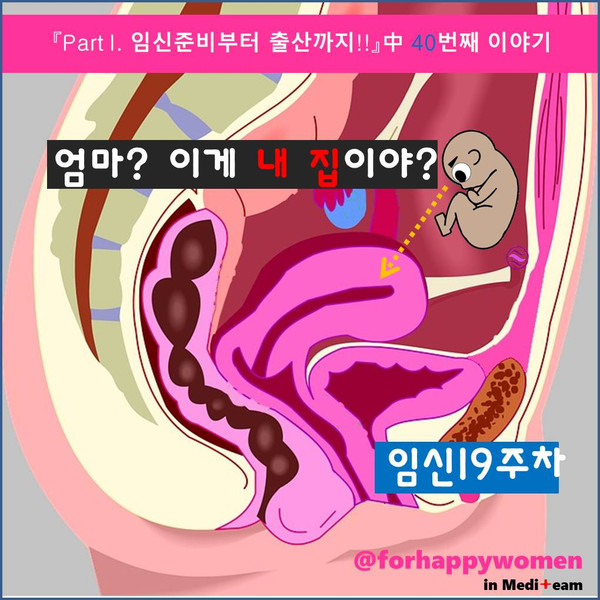 프레젠테이션2.jpg