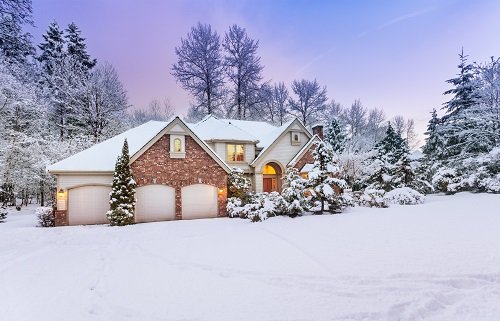 How-to-Care-for-Evergreens-Throughout-the-Winter-Season.jpg