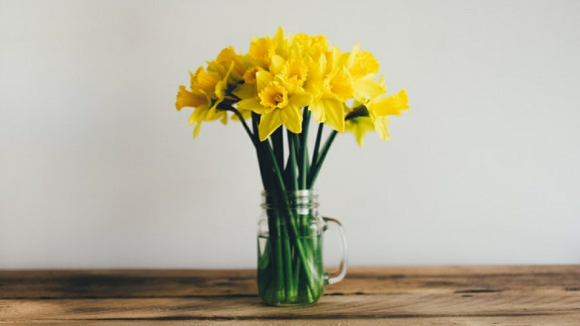 20180315182124.jpg