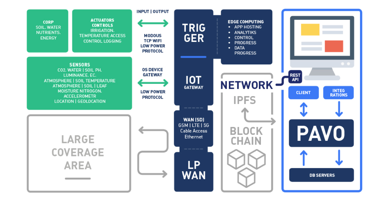 Edge protocol. Direct input Protocol.