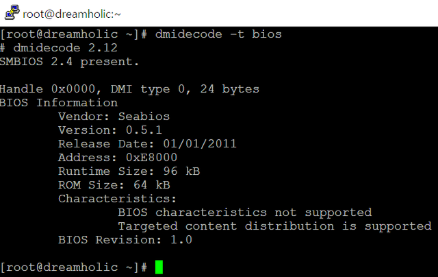 dmidecode_bios.png