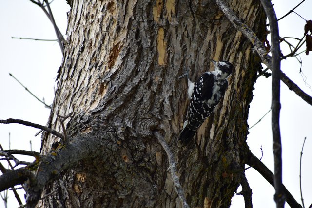 DSC_0547scaled.JPG