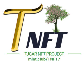 tnft PROJECT.png