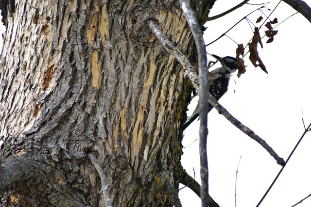 DSC_0559scaled.JPG