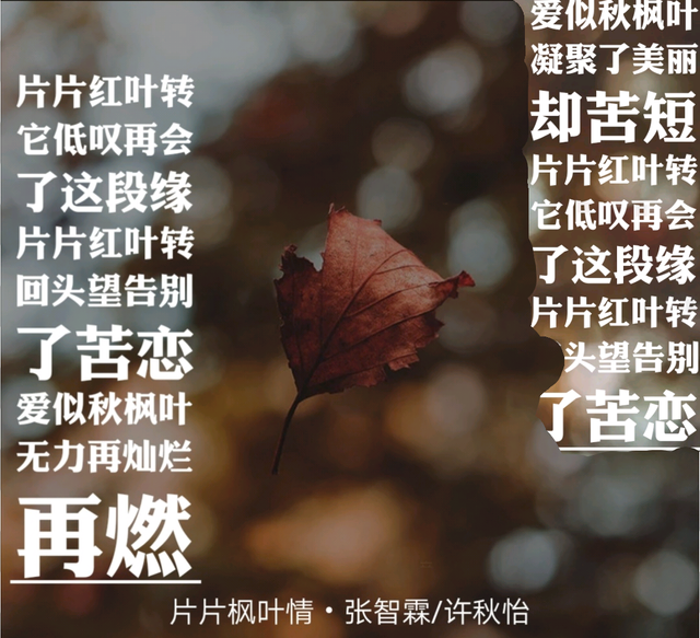 20191110135359.png