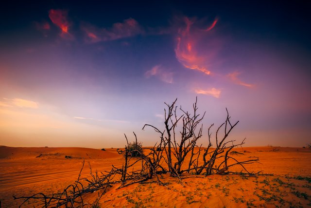 Sunset-meeting.jpg