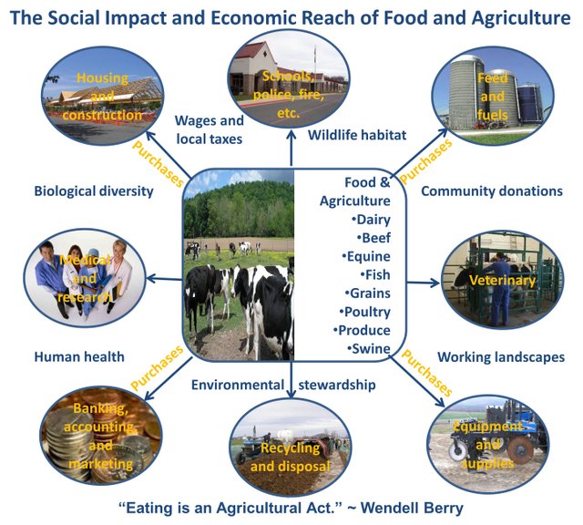 Ag_Econ_impact.jpg