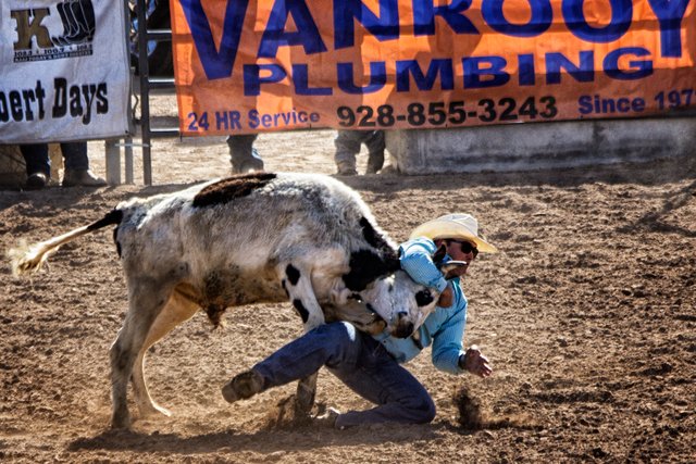 SteerWrestling.jpg