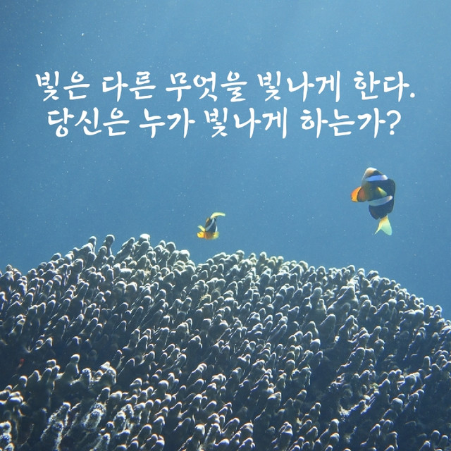 20180217232611.jpg