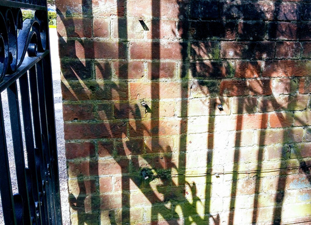 wall shadows.jpg