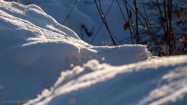 erster-schnee3.jpg