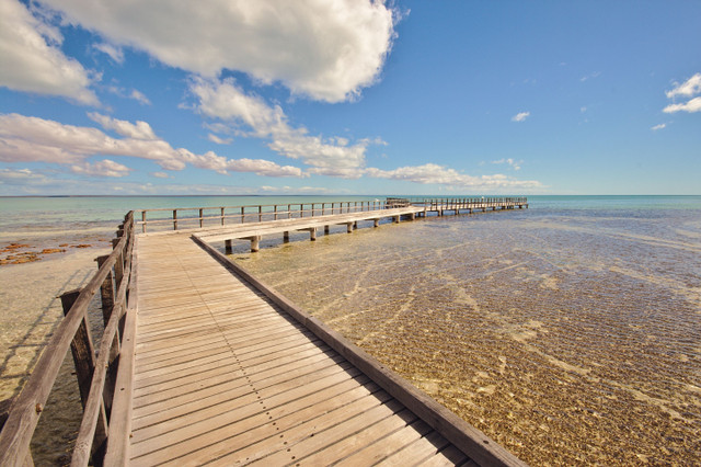 Shark Bay