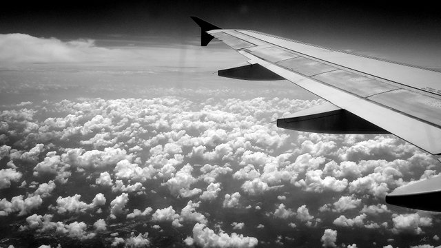 DSC_0038_1 b.jpg