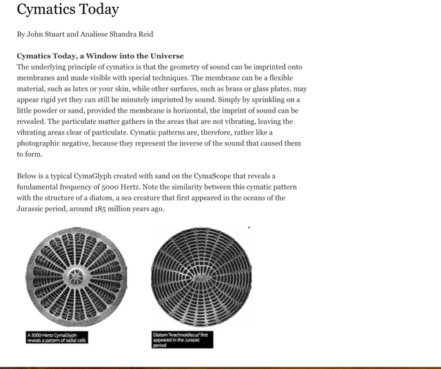Arachnoidiscus.png