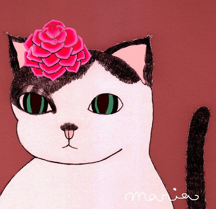 maria_sol_cats.PNG