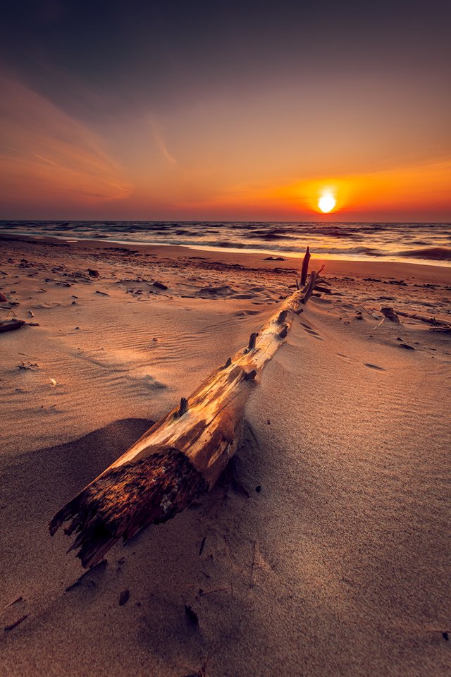 Sunset-witness.jpg